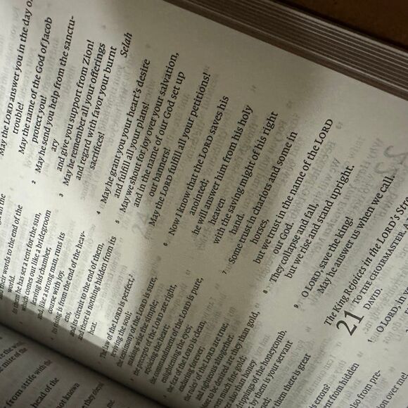 Thinline Bible, Red Letter leather strappy ESV Bible - Picture 3 of 5